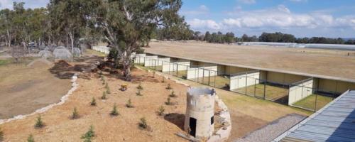 %dog and cat boarding kennels sydney %pet boarding services