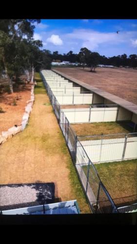 %dog and cat boarding kennels sydney %pet boarding services