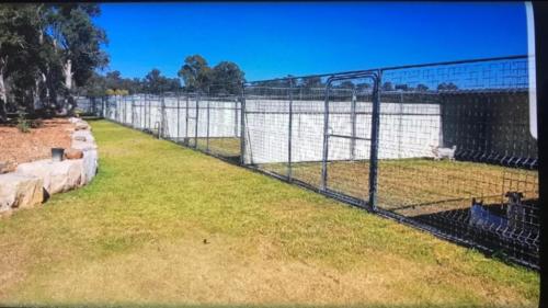 %dog and cat boarding kennels sydney %pet boarding services
