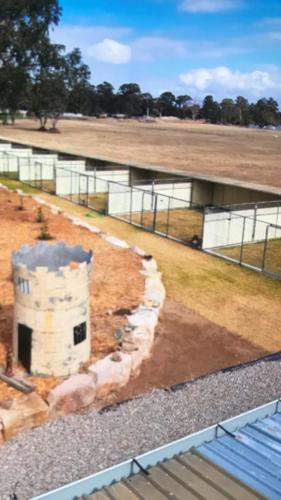 %dog and cat boarding kennels sydney %pet boarding services