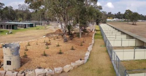 %dog and cat boarding kennels sydney %pet boarding services