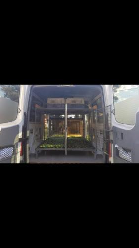 %dog and cat boarding kennels sydney %pet boarding services