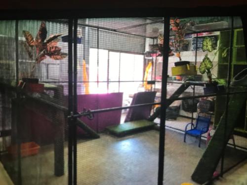 %dog and cat boarding kennels sydney %pet boarding services